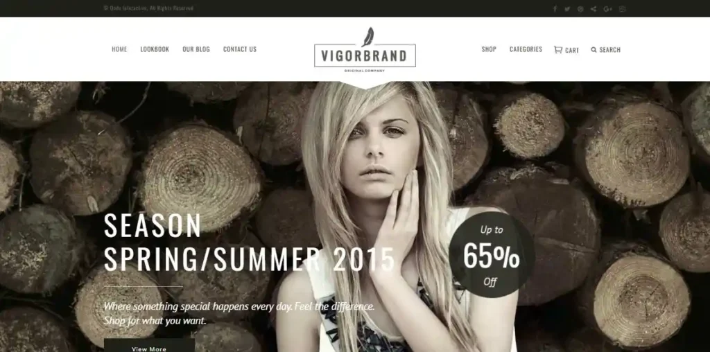 12 Best Retro Vintage WordPress Themes: For a Nostalgic Look